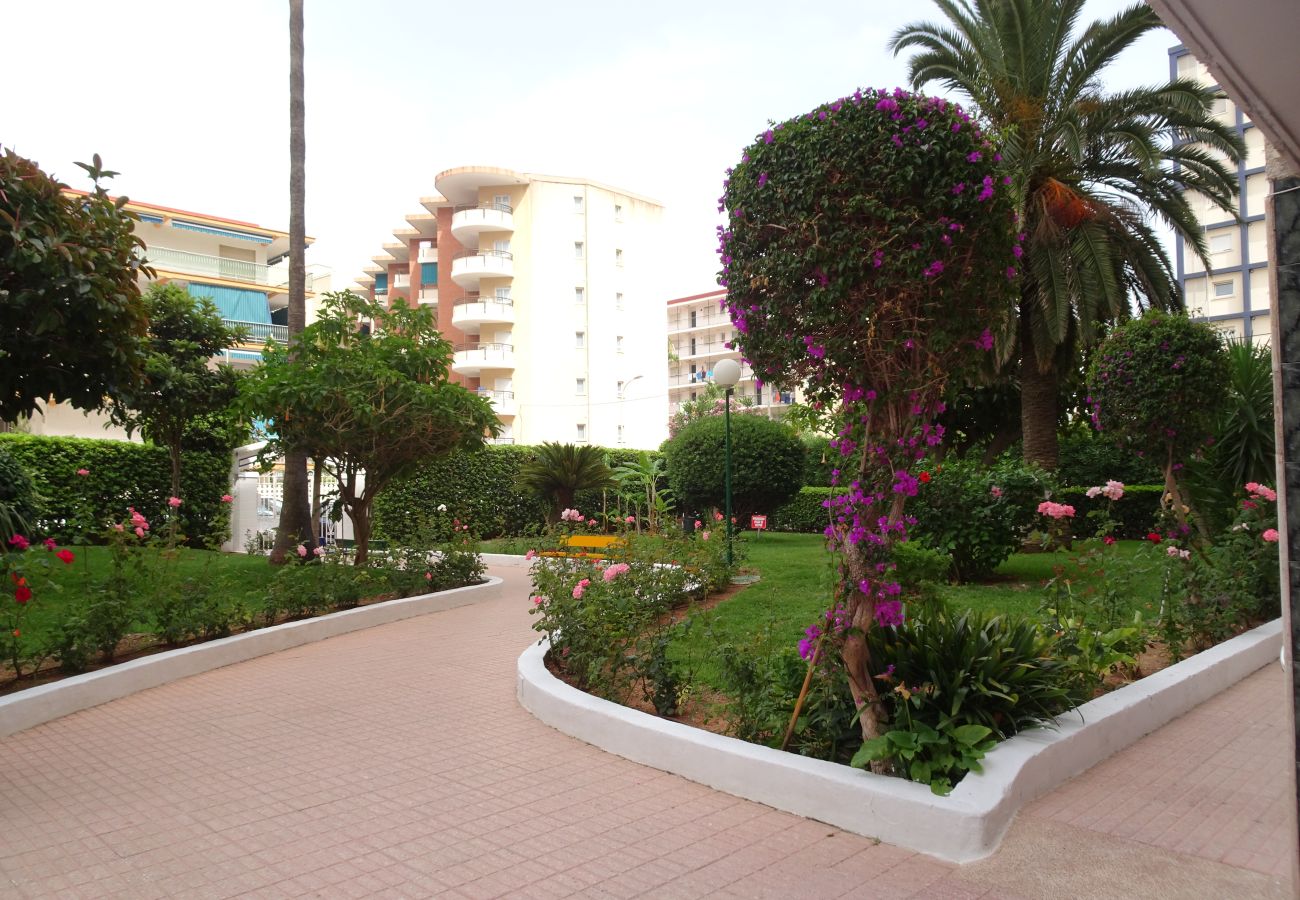 Apartamento en Gandia - CANTABRIA 3º - 36ª