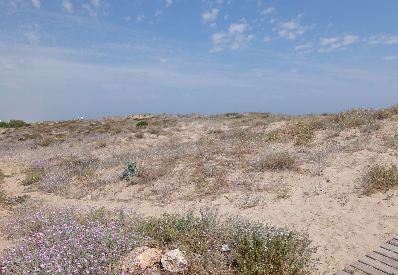 Apartamento en Oliva - FAMILY HOUSE - POLIGONO 4 14/16 Apartamento en Oliva - FAMILY HOUSE - POLIGONO 4 14/16