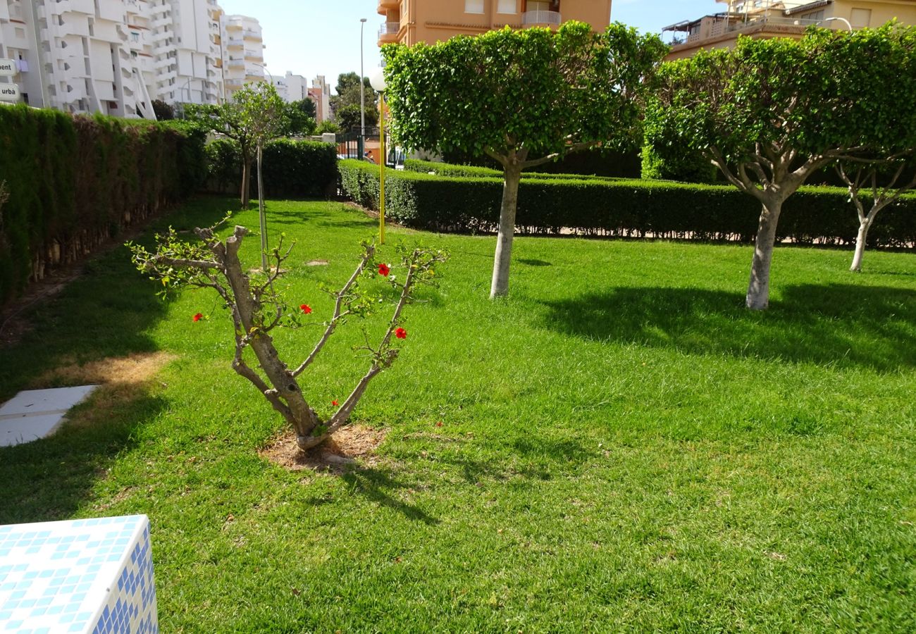 Apartamento en Gandia - ROMA XI - 2ª - 2º - 4ª
