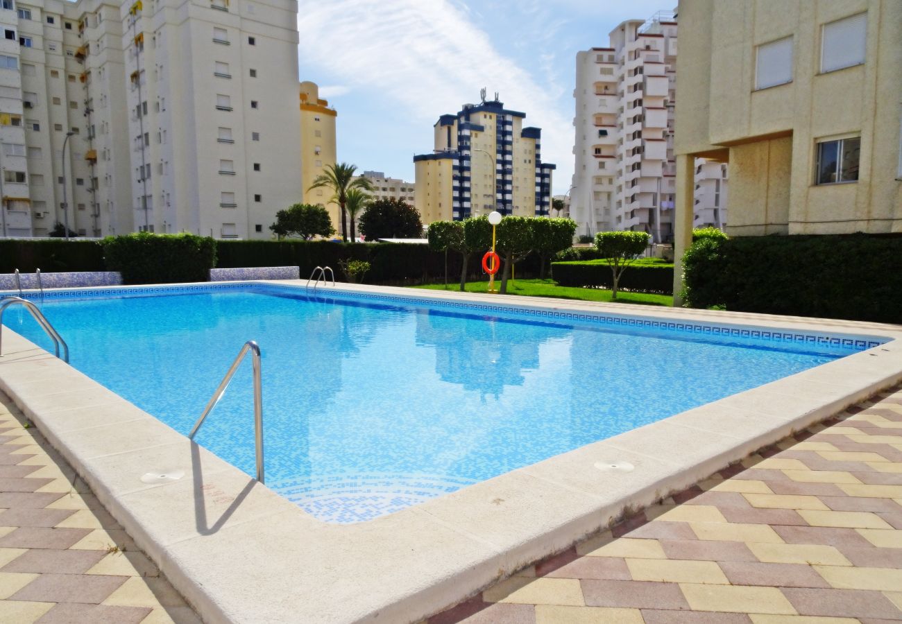 Apartamento en Gandia - ROMA XI - 2ª - 2º - 4ª