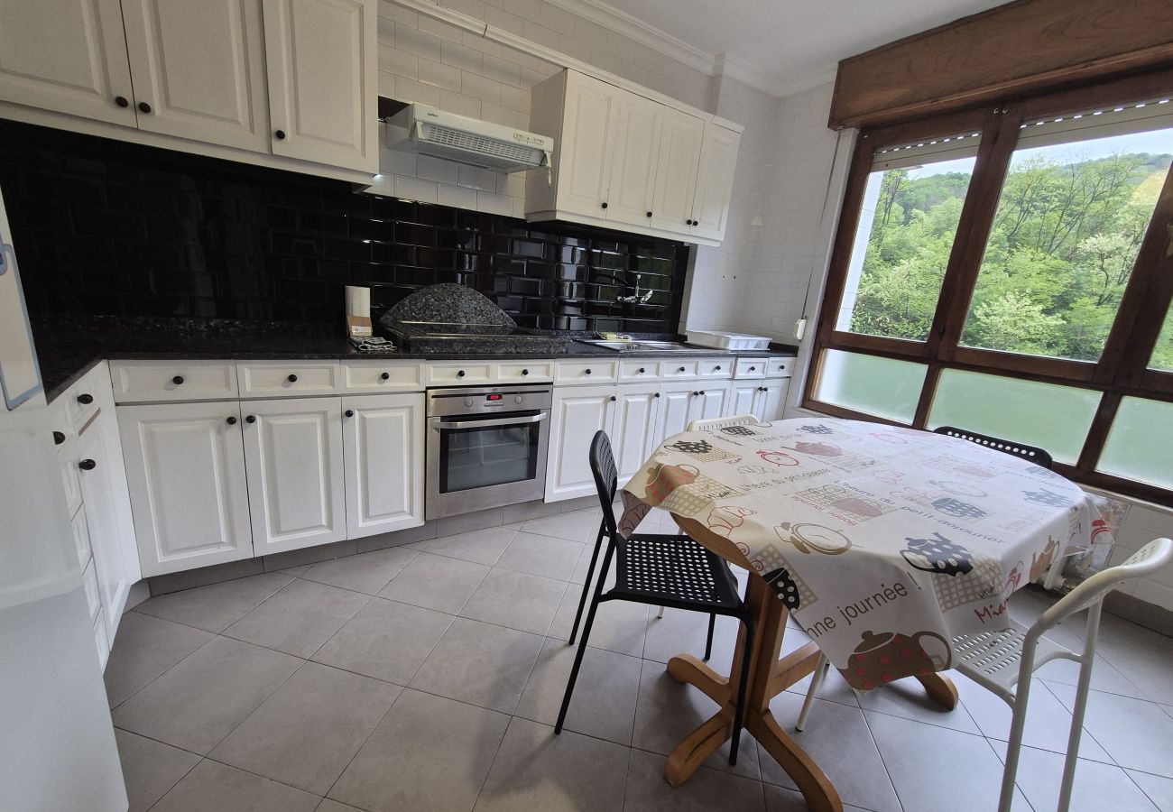 Apartamento en Langreo - 33A02 Amplio Apartamento en Tuilla