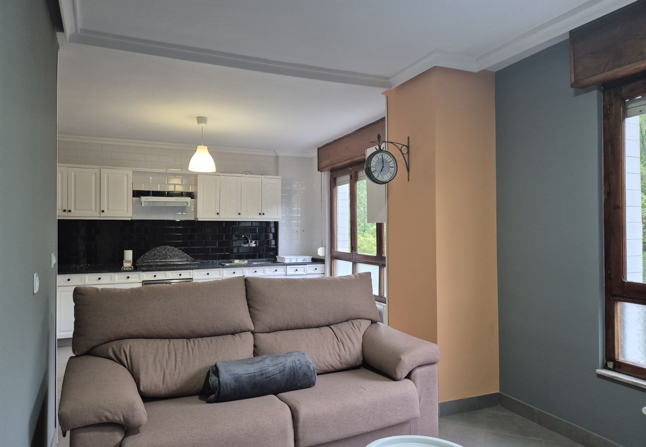 Apartamento en Langreo - 33A02 Amplio Apartamento en Tuilla