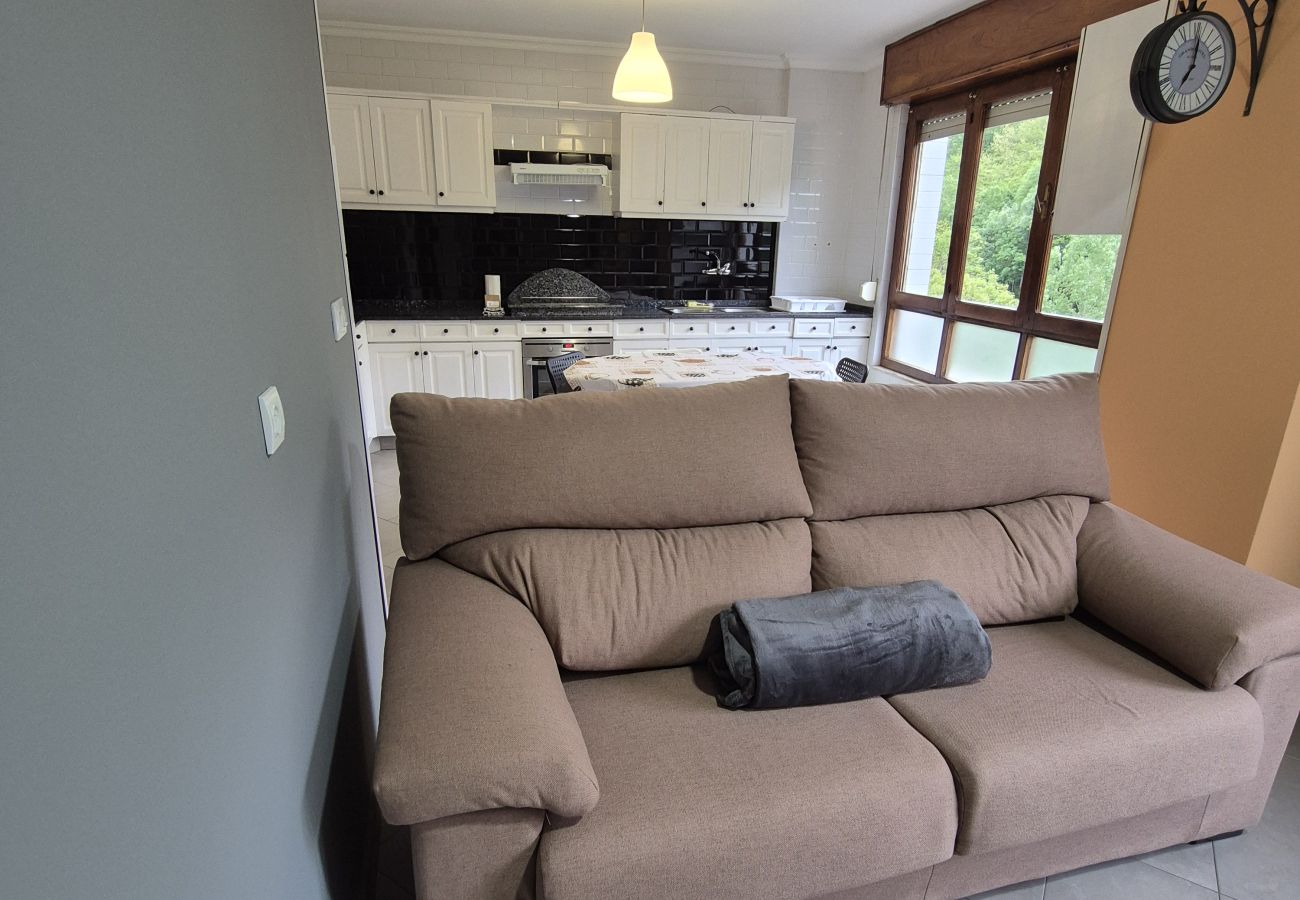 Apartamento en Langreo - 33A02 Amplio Apartamento en Tuilla