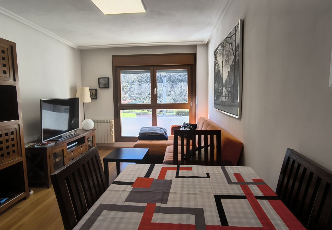 Apartamento en Aller - 21A06 Apartamento en Felechosa