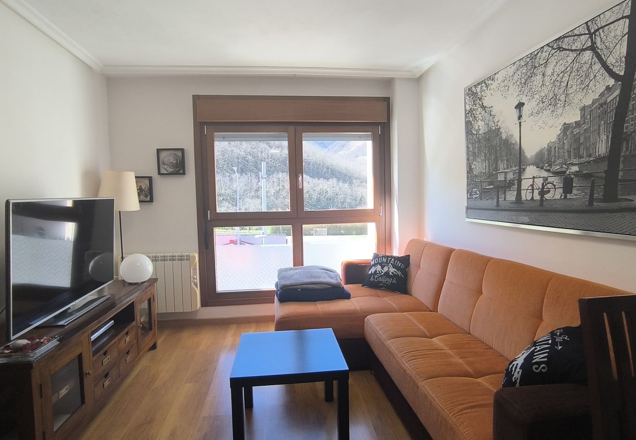 Apartamento en Aller - 21A06 Apartamento en Felechosa