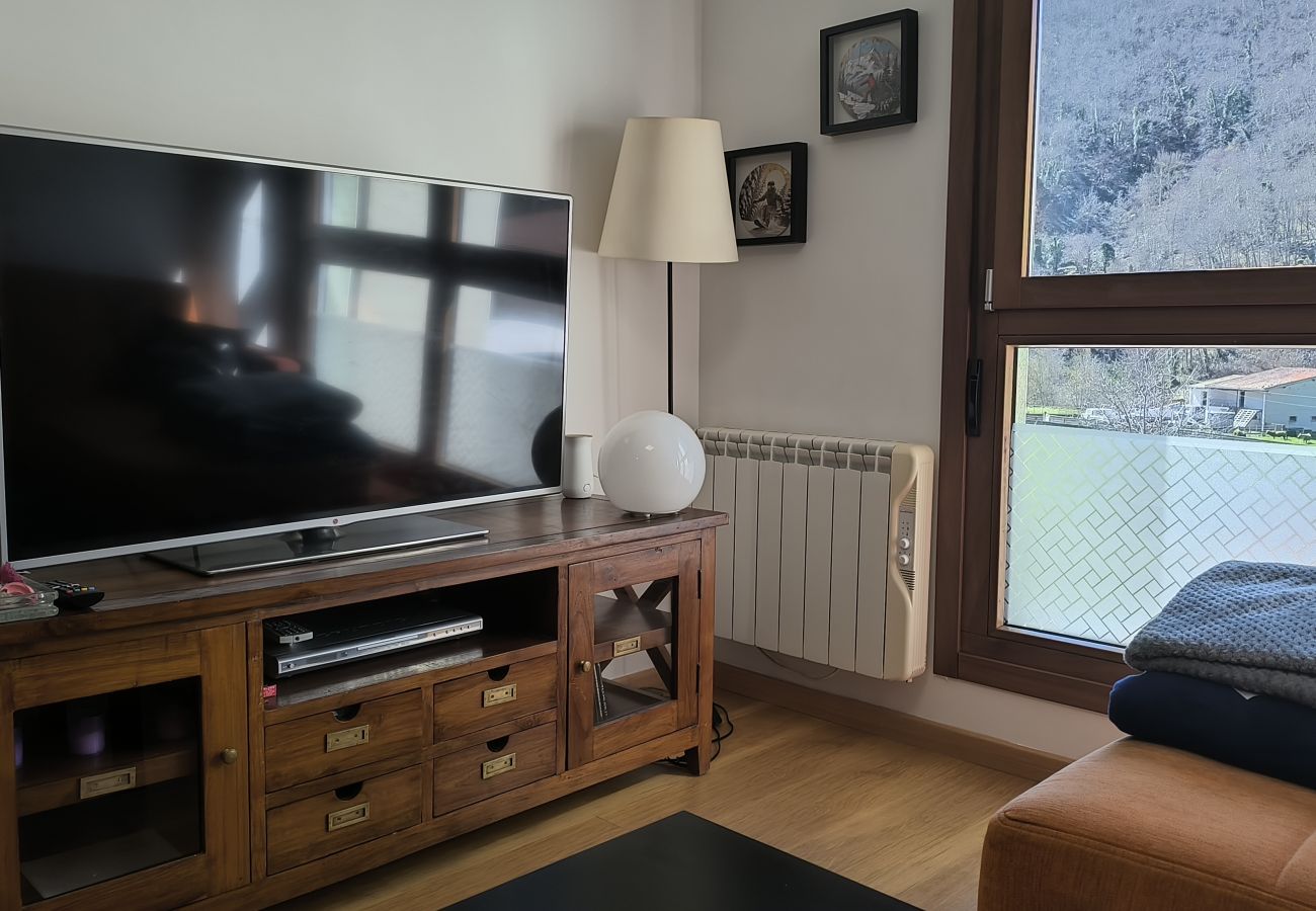Apartamento en Aller - 21A06 Apartamento en Felechosa