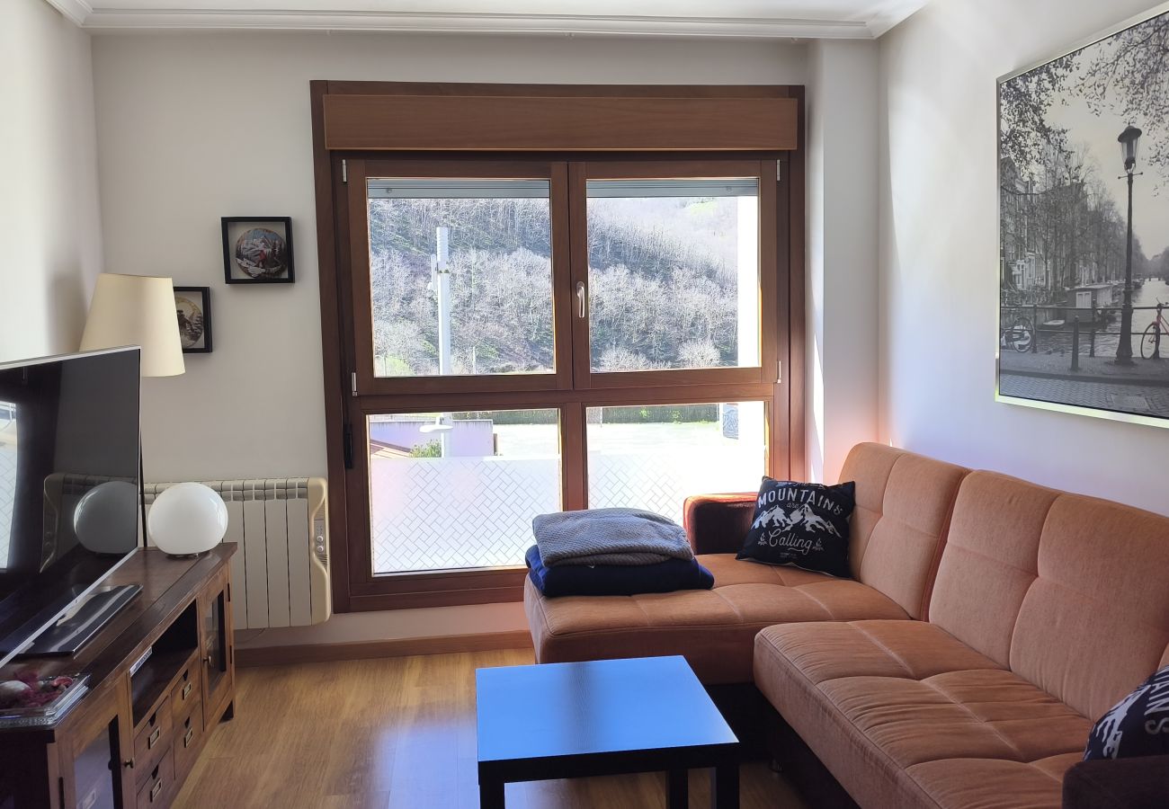 Apartamento en Aller - 21A06 Apartamento en Felechosa