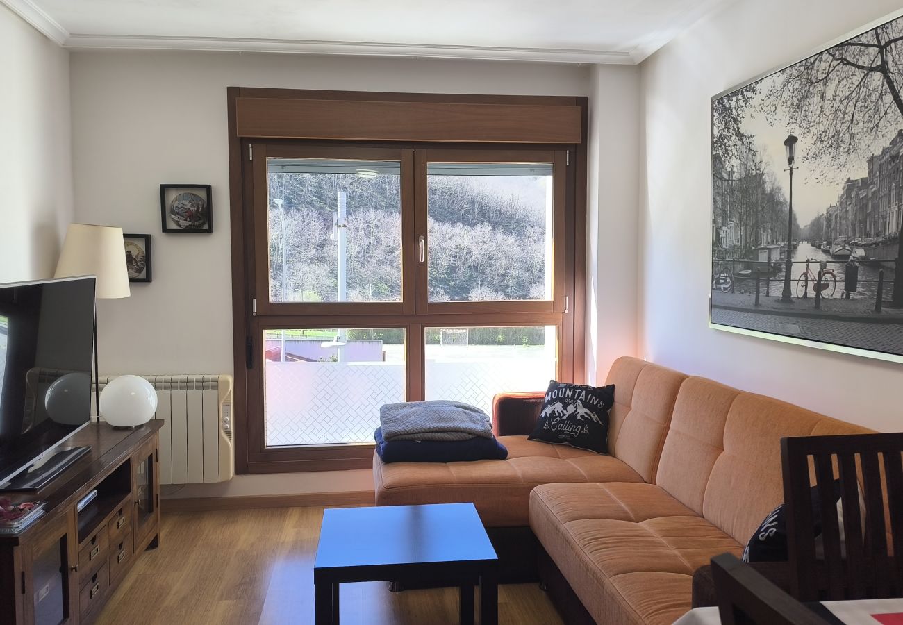 Apartamento en Aller - 21A06 Apartamento en Felechosa