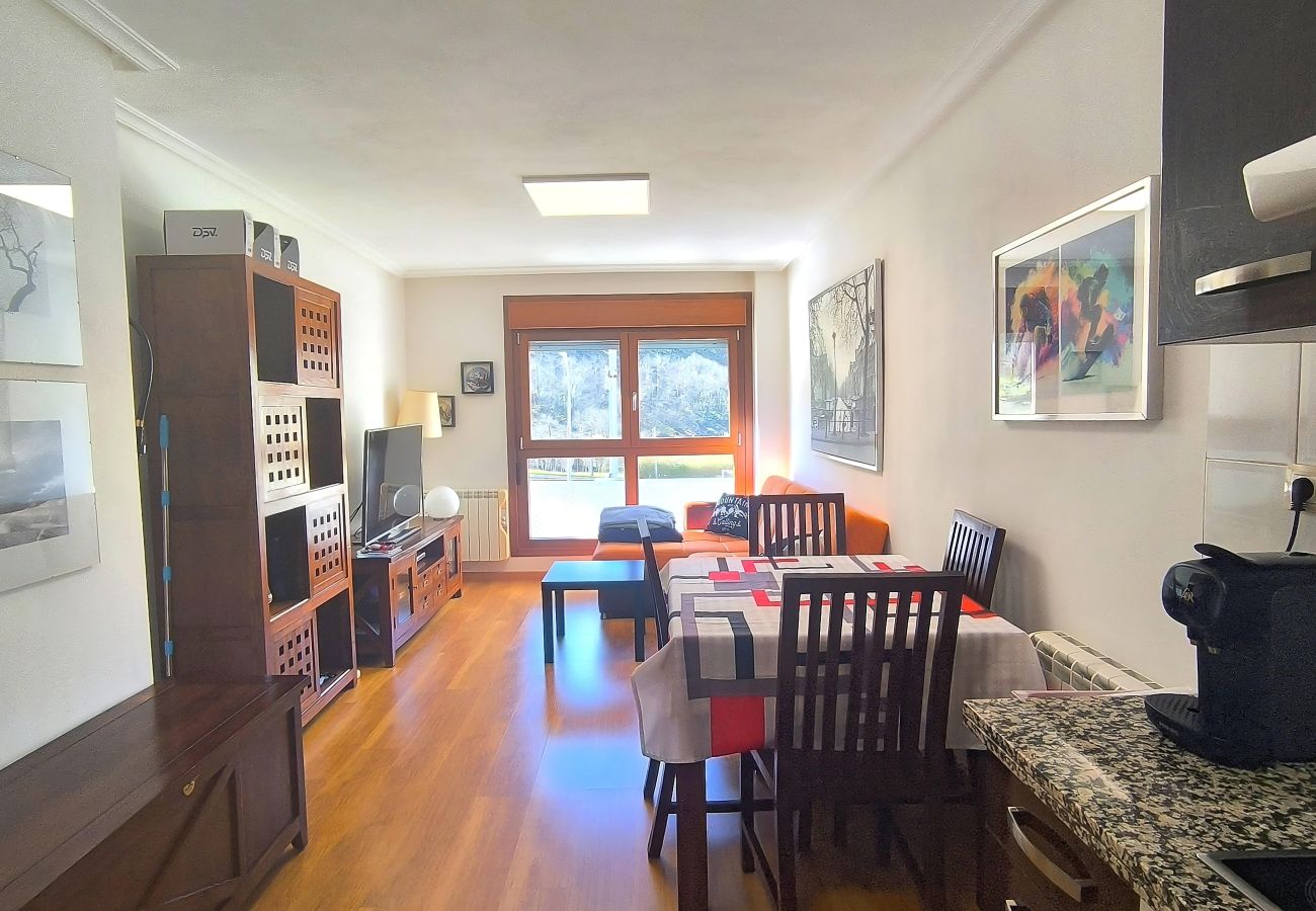 Apartamento en Aller - 21A06 Apartamento en Felechosa
