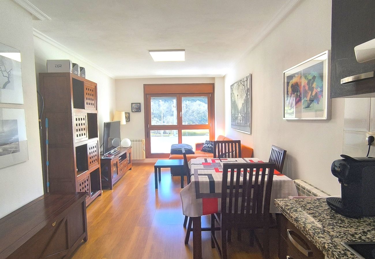 Apartamento en Aller - 21A06 Apartamento en Felechosa