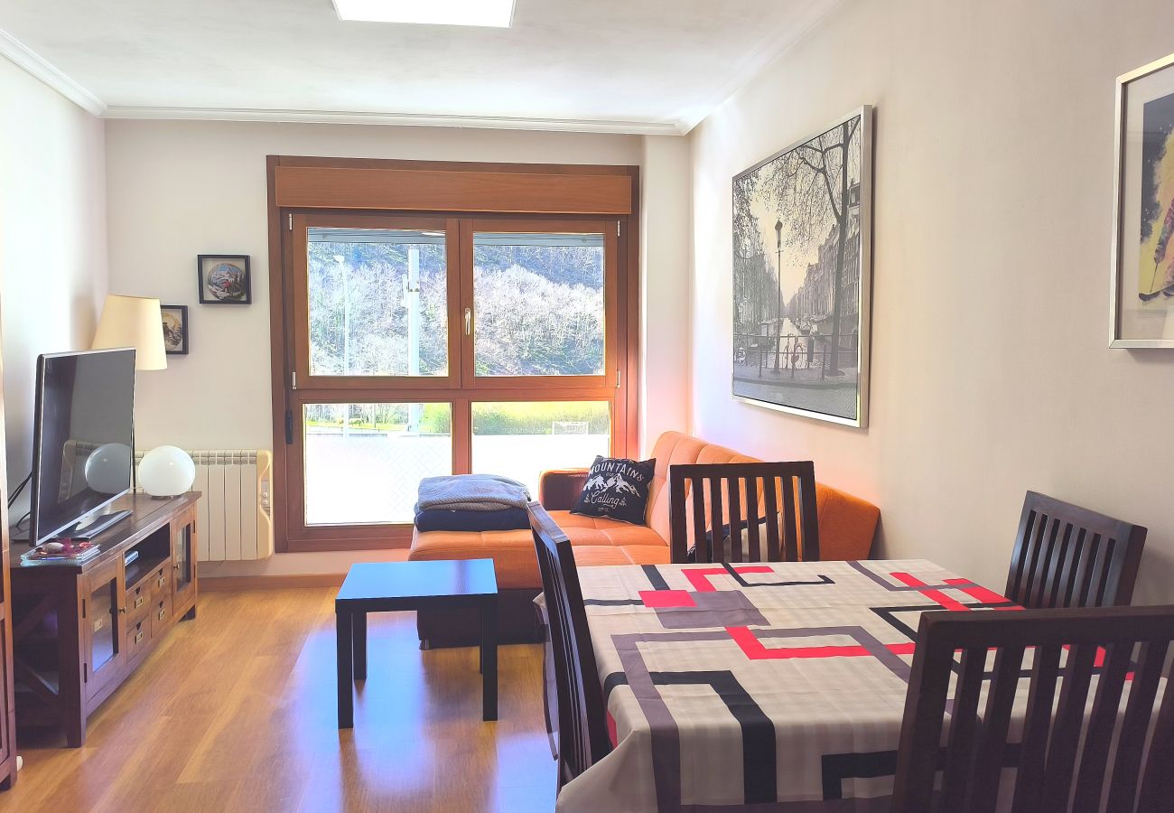 Apartamento en Aller - 21A06 Apartamento en Felechosa