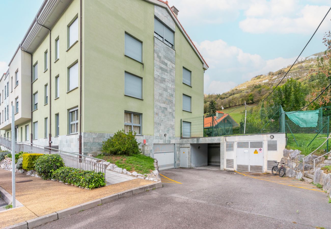 Apartamento en Aller - 21A06 Apartamento en Felechosa