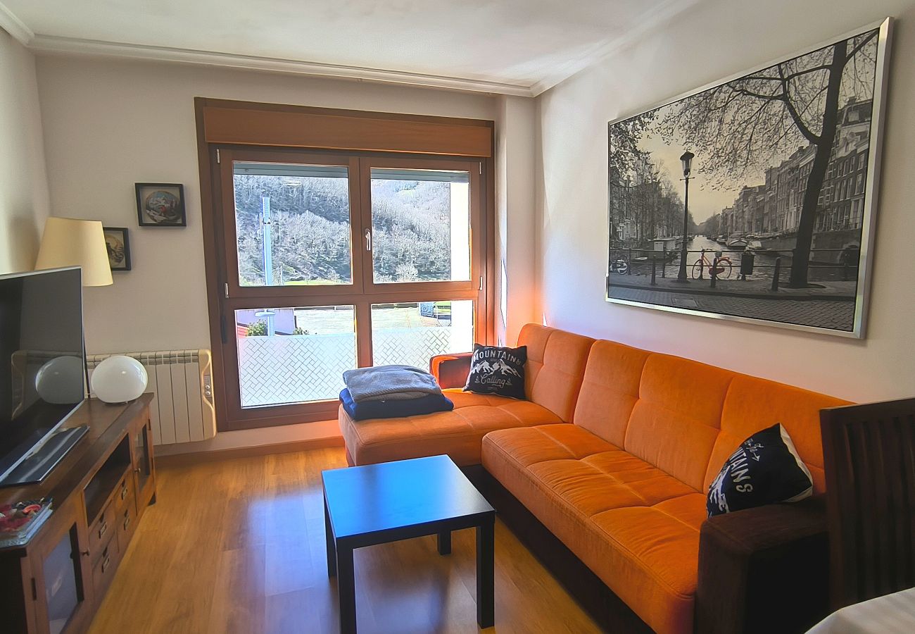 Apartamento en Aller - 21A06 Apartamento en Felechosa