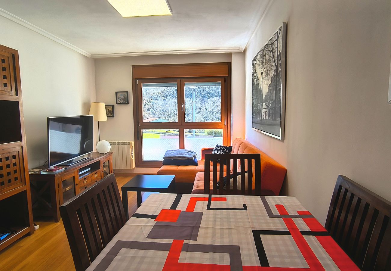 Apartamento en Aller - 21A06 Apartamento en Felechosa