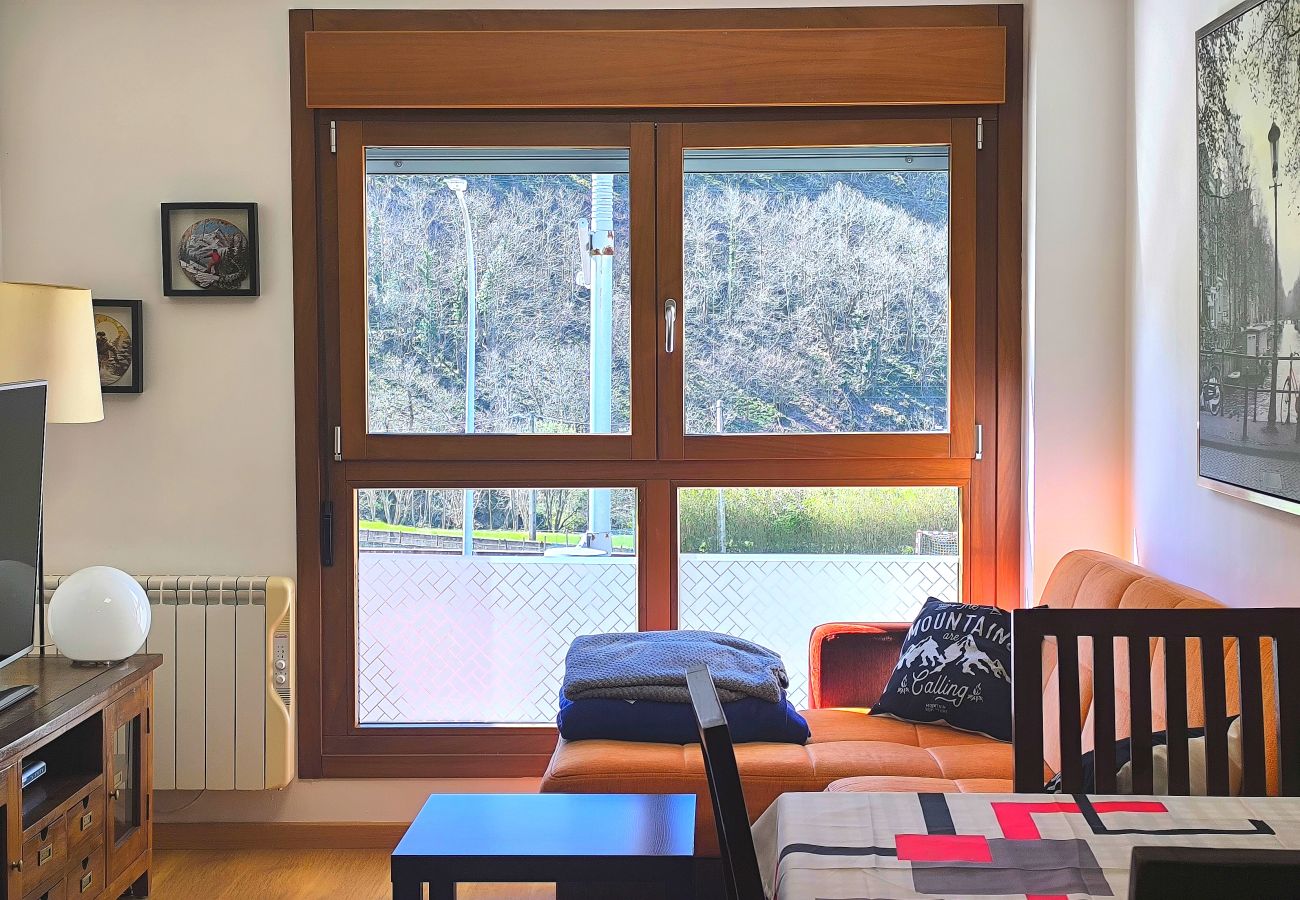 Apartamento en Aller - 21A06 Apartamento en Felechosa