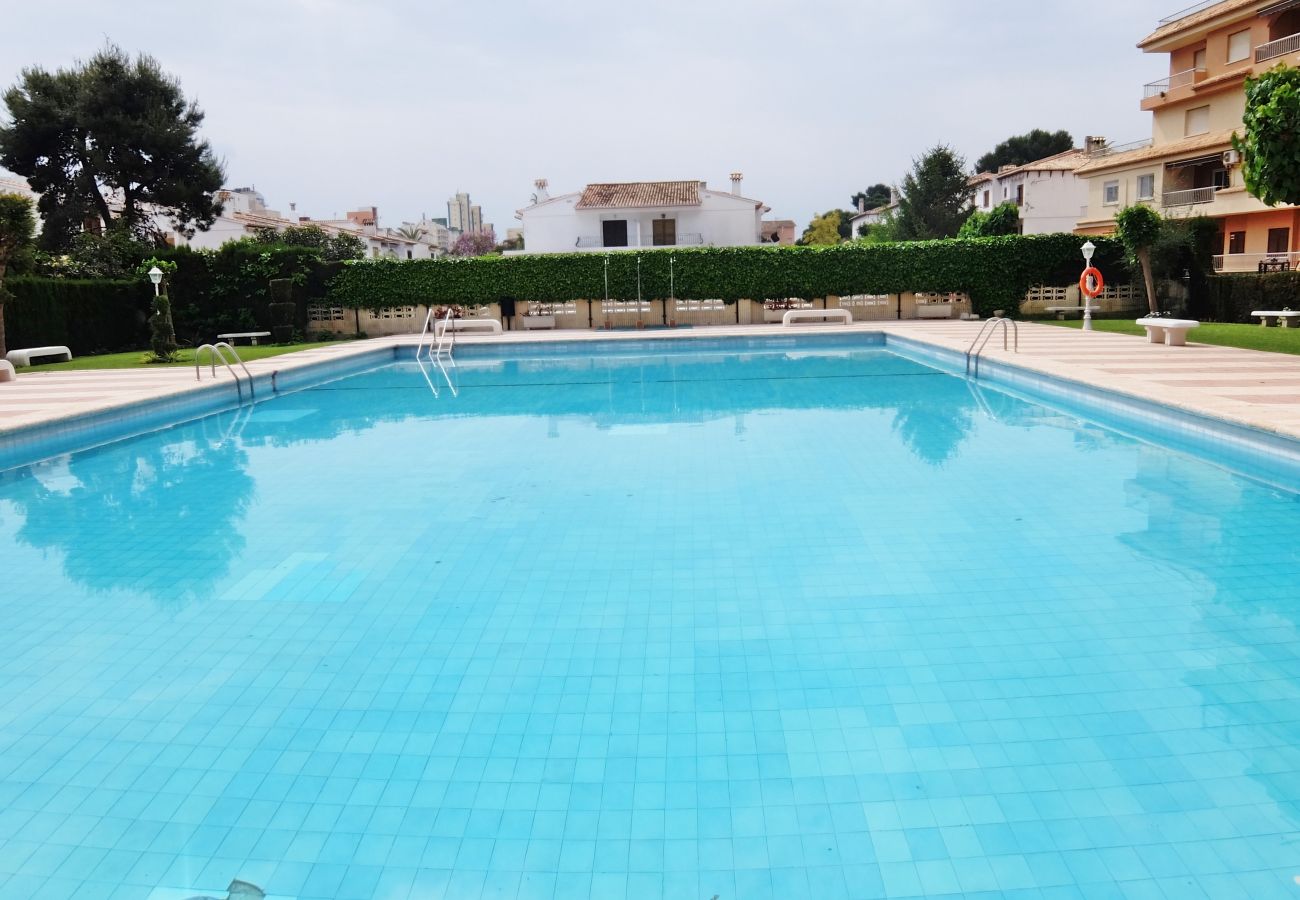 Apartamento en Gandia - LOS IRIS TORRE 4º - 13