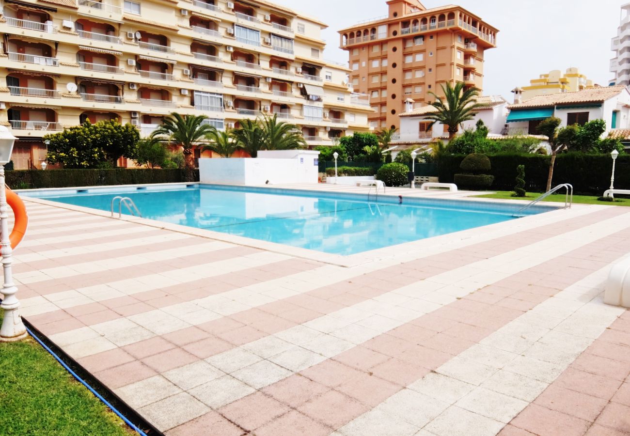 Apartamento en Gandia - LOS IRIS TORRE 4º - 13