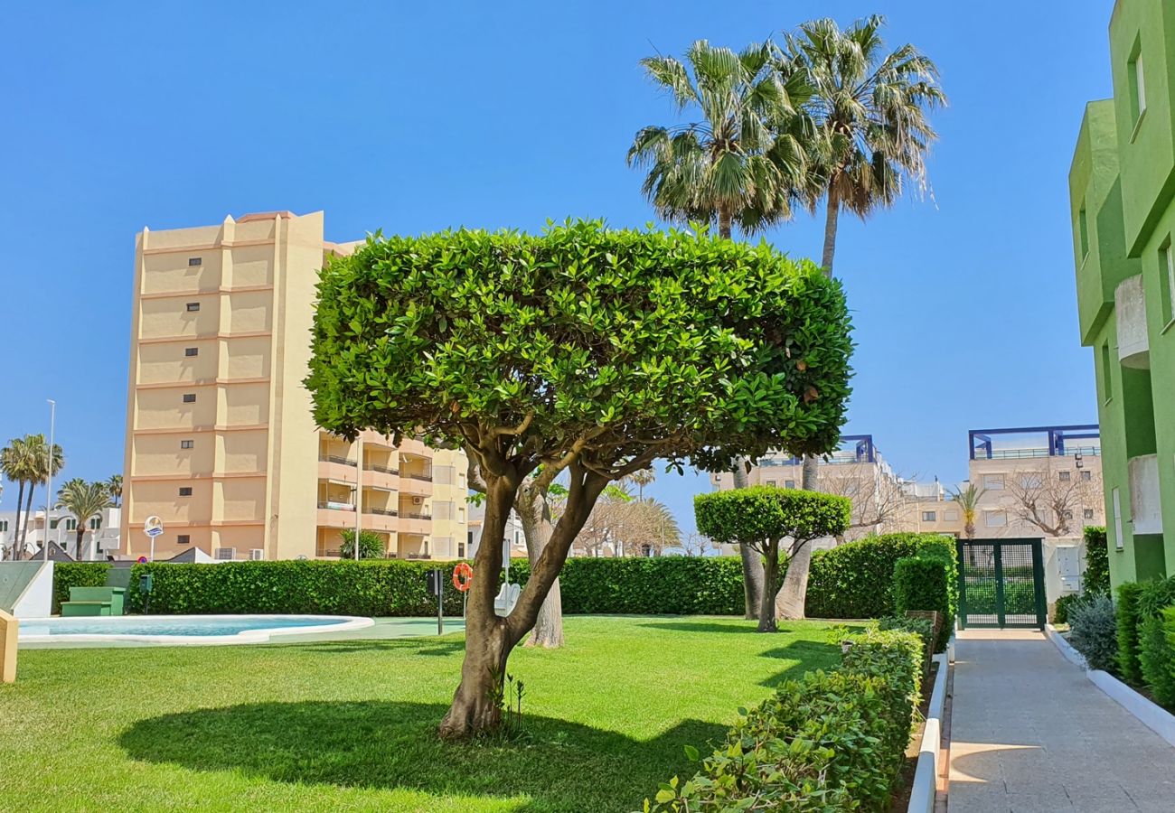 Apartamento en Xeraco - LOS JUNCOS 10ª - 00 - 39ª