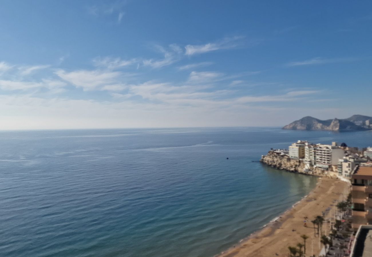 Estudio en Benidorm - COBLANCA 1  21-3
