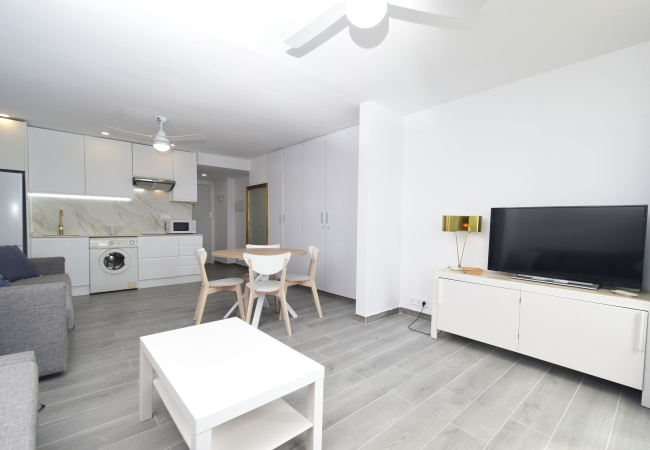 Estudio en Benidorm - COBLANCA 1  21-3