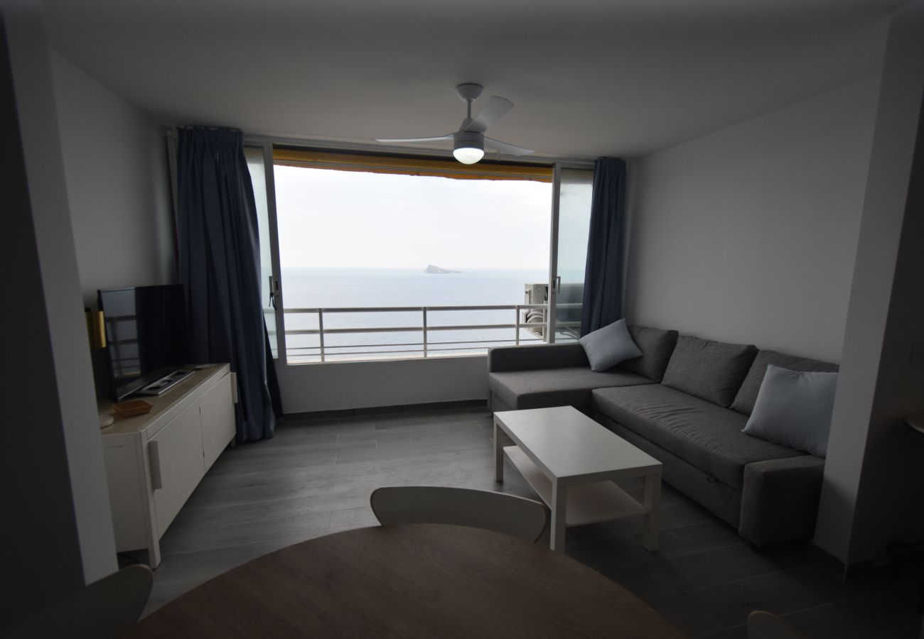 Estudio en Benidorm - COBLANCA 1  21-3