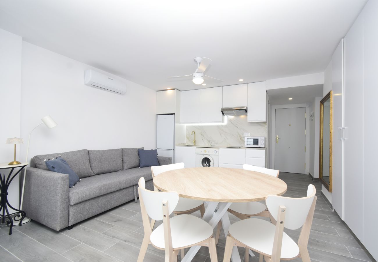 Estudio en Benidorm - COBLANCA 1  21-3