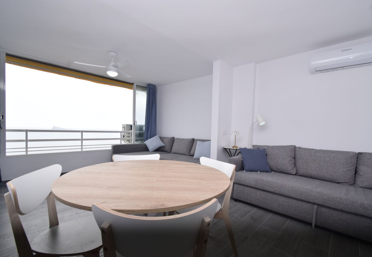 Estudio en Benidorm - COBLANCA 1  21-3