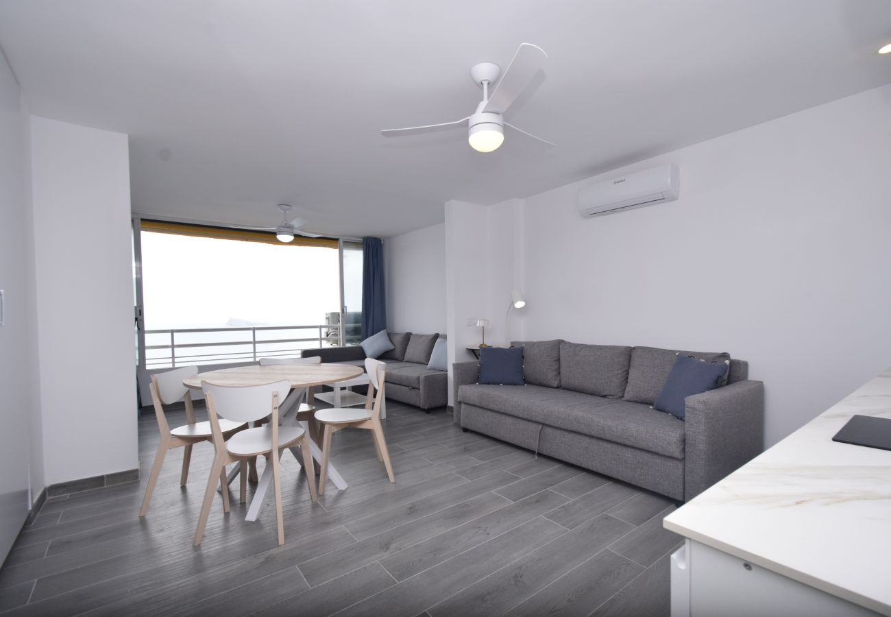Estudio en Benidorm - COBLANCA 1  21-3