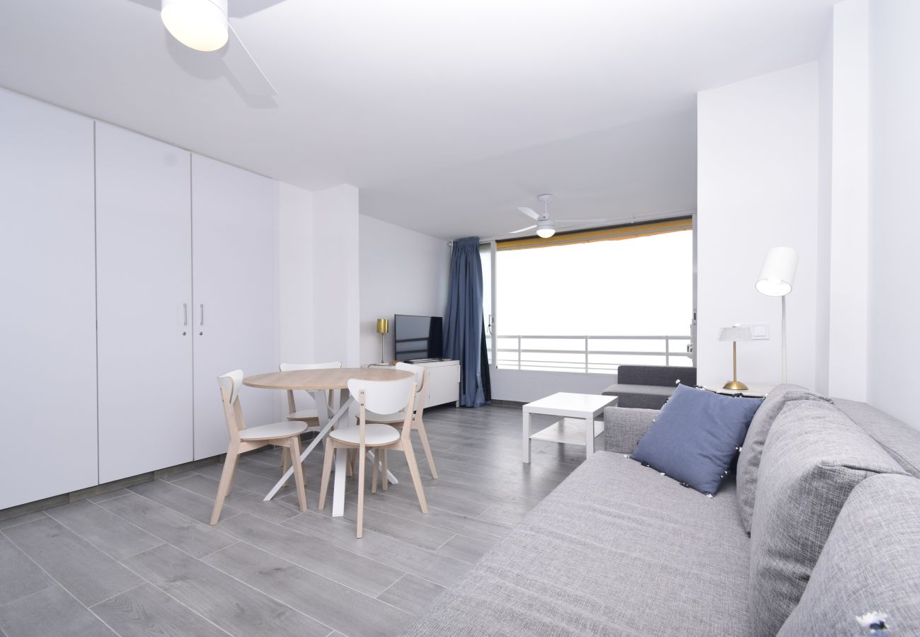 Estudio en Benidorm - COBLANCA 1  21-3