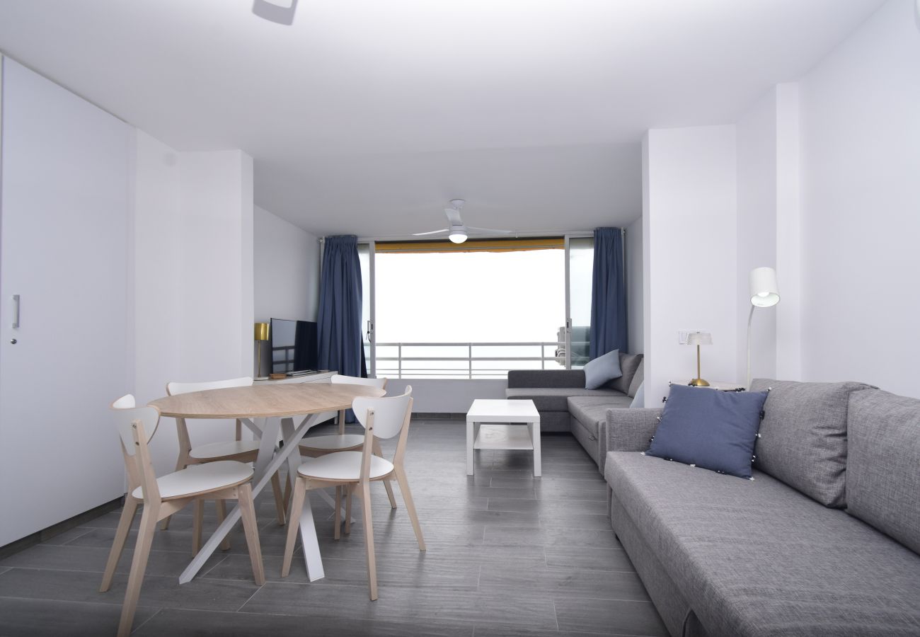 Estudio en Benidorm - COBLANCA 1  21-3