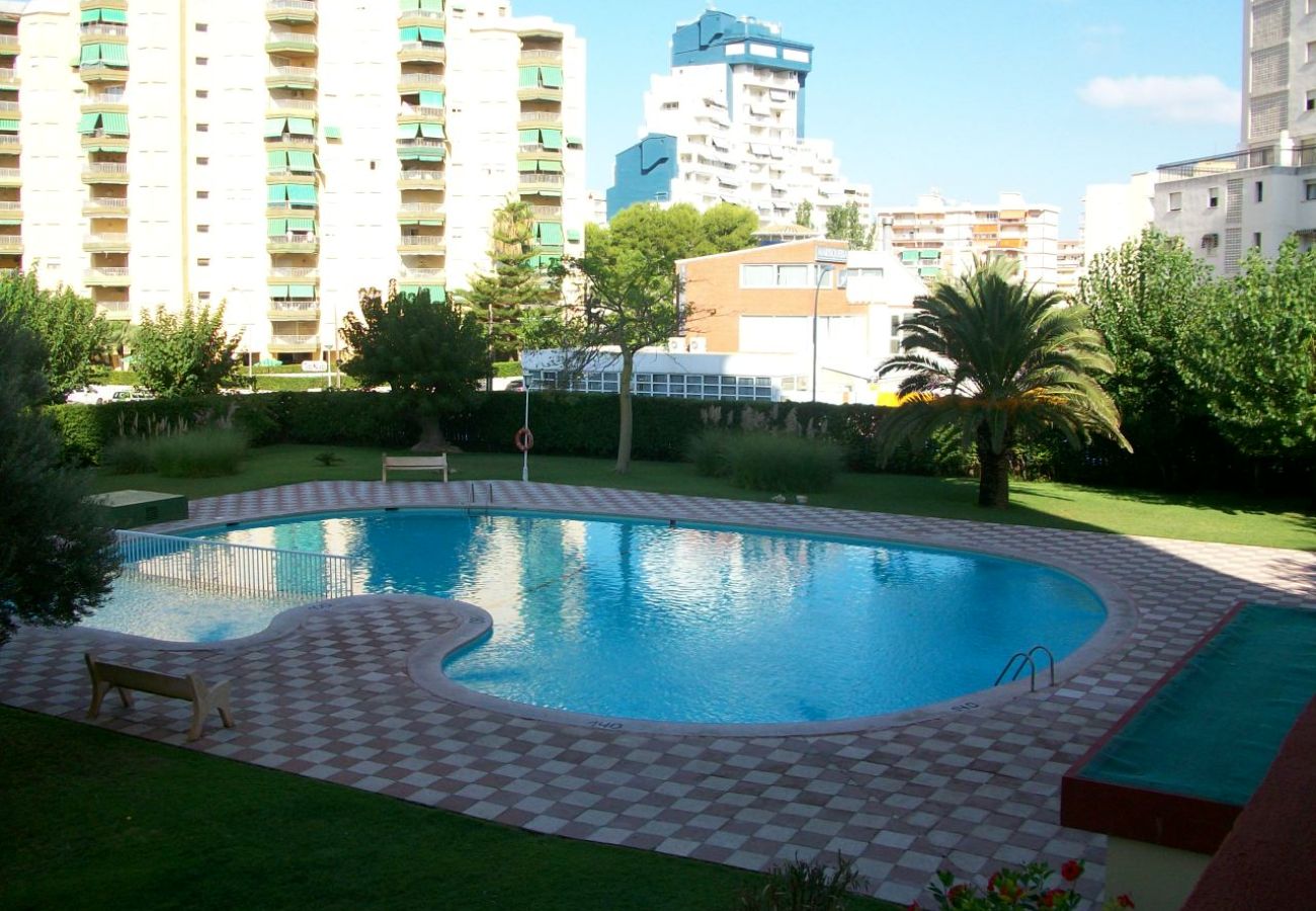Apartamento en Gandia - XIPHO 5º - D
