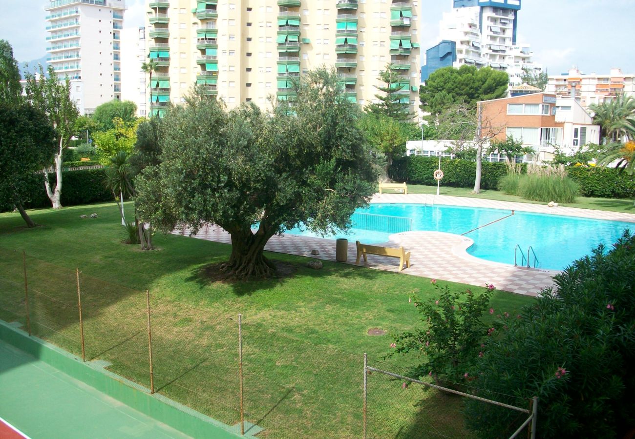 Apartamento en Gandia - XIPHO 5º - D