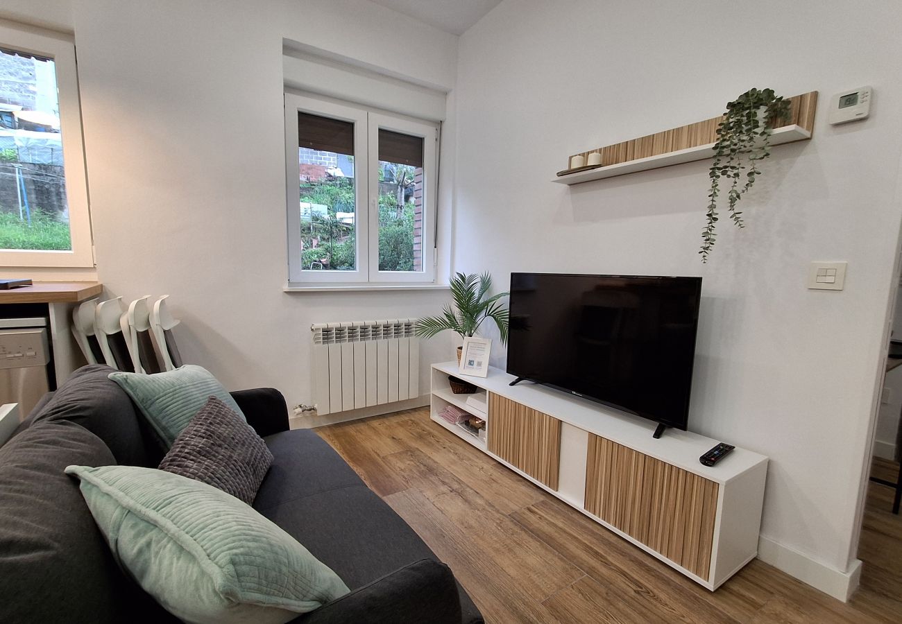 Apartamento en Langreo - 33A03 Apto para 4 pax en Langreo