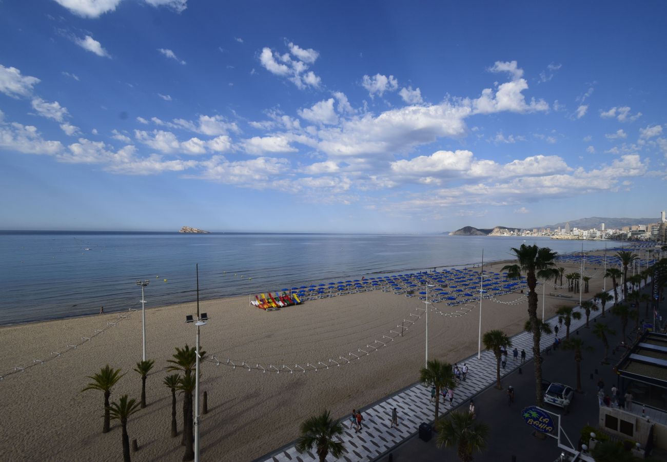Apartamento en Benidorm - CACHIRULO 4A