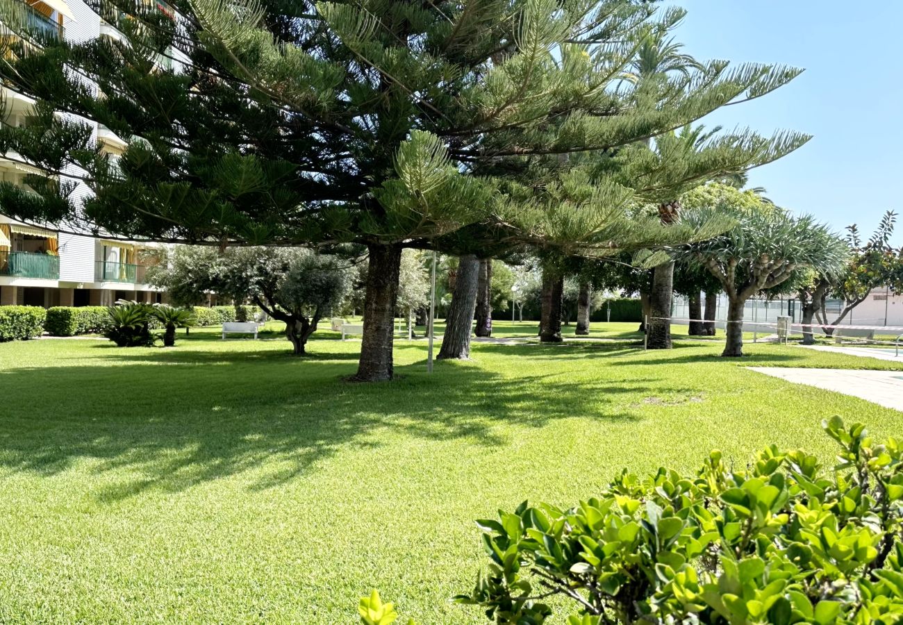 Apartamento en Gandia - PARQUE SAN JORDI F1 - 1ª - 1º - 101