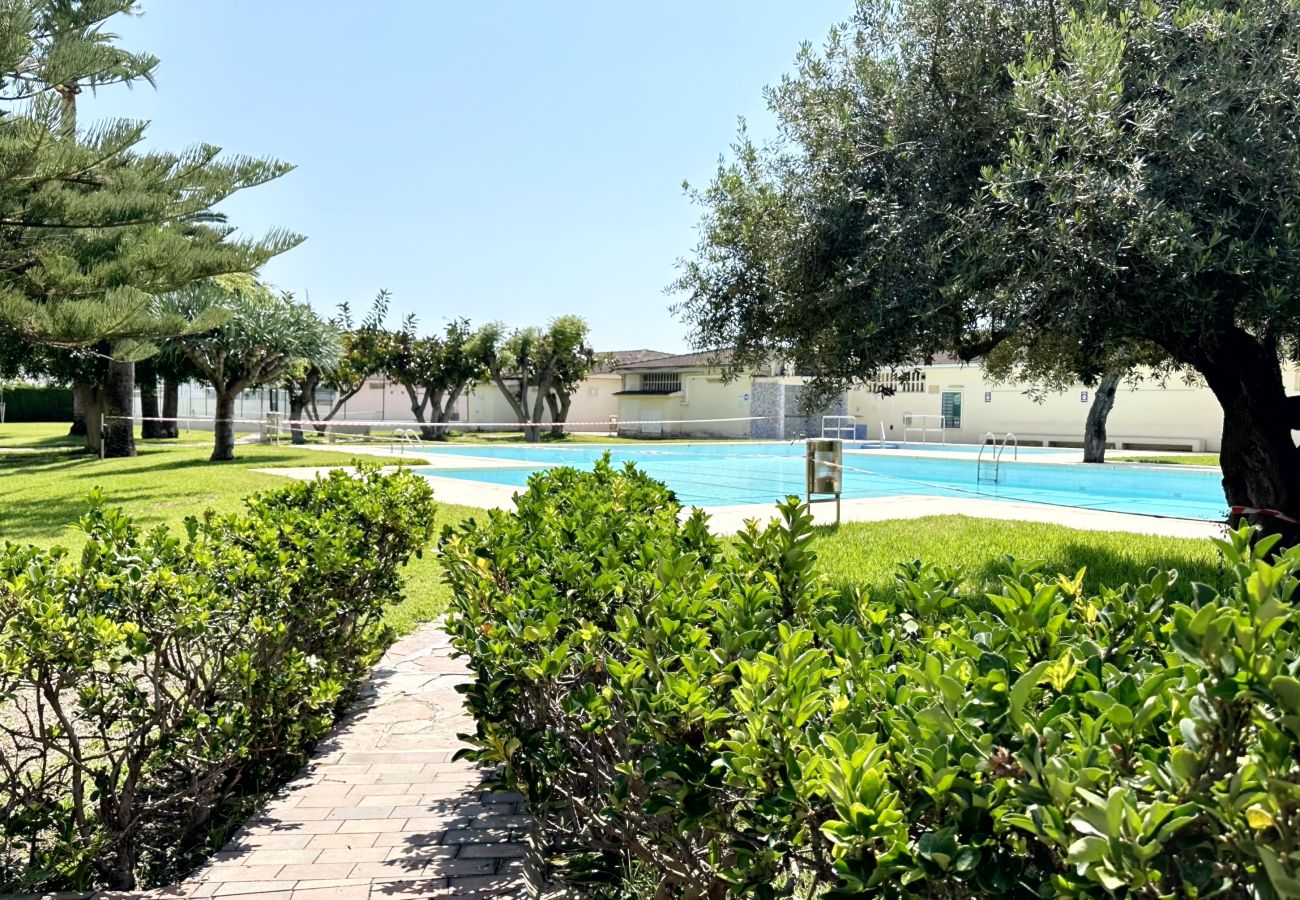 Apartamento en Gandia - PARQUE SAN JORDI F1 - 1ª - 1º - 101