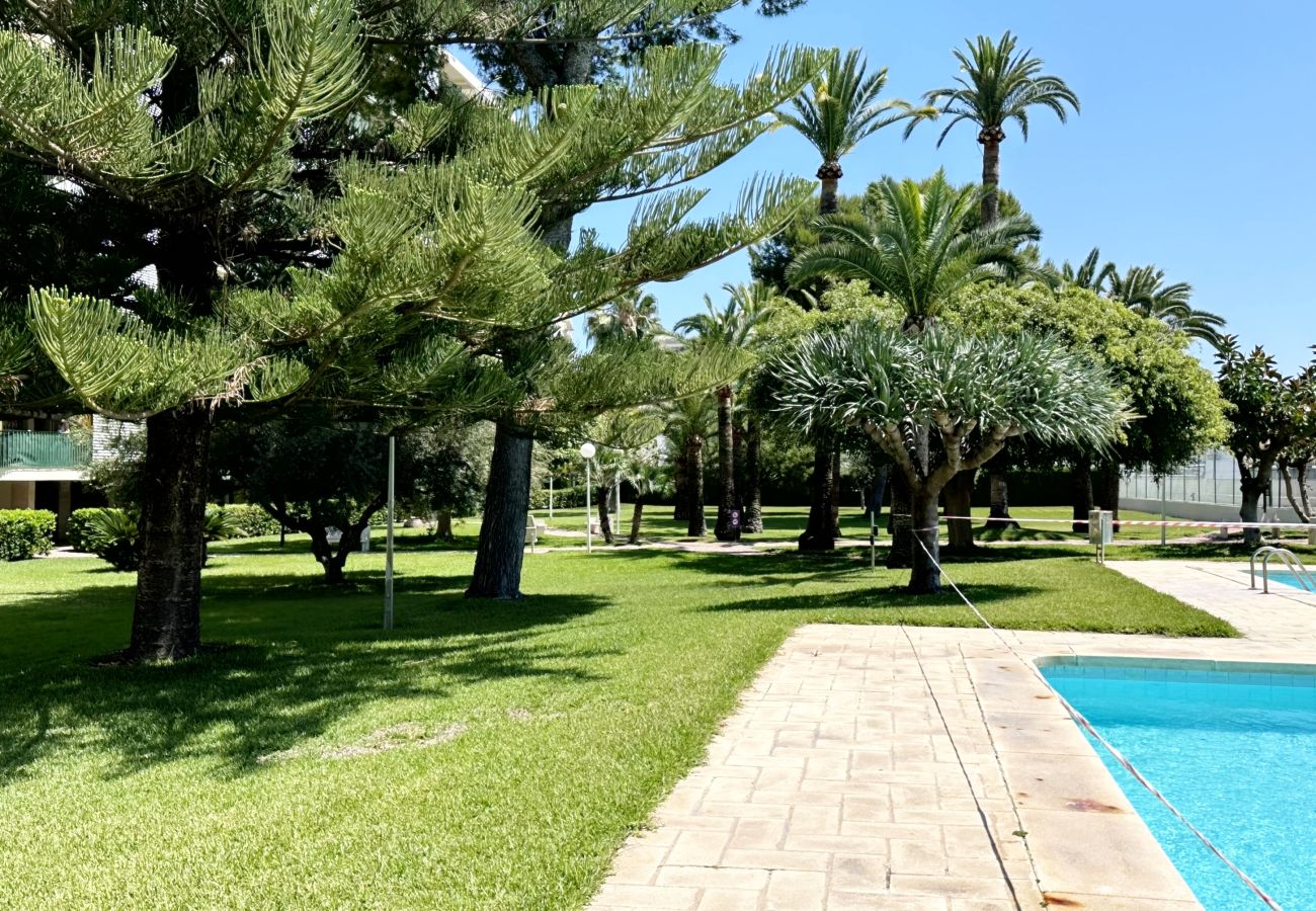 Apartamento en Gandia - PARQUE SAN JORDI F1 - 1ª - 1º - 101