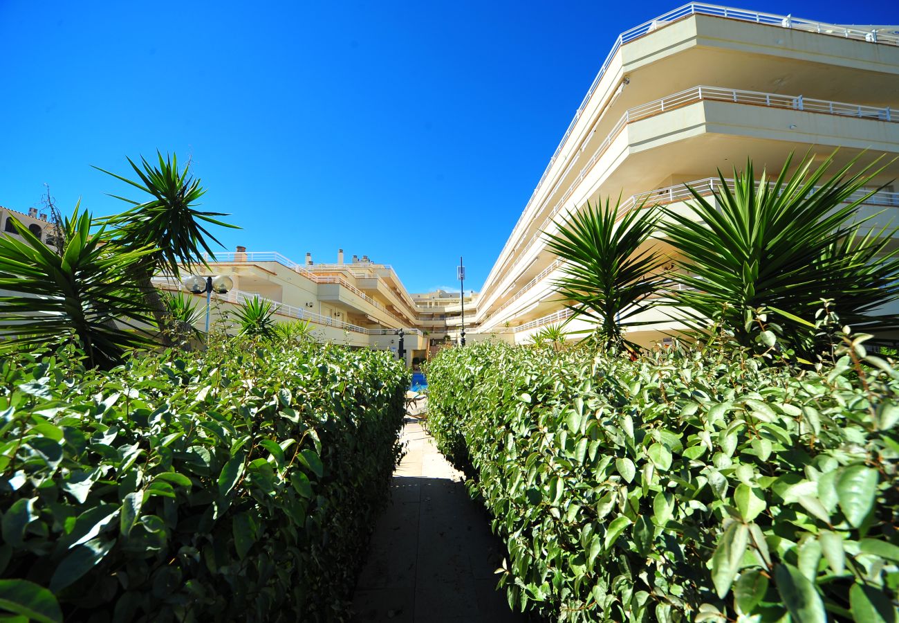 Apartamento en Alcoceber / Alcossebre - CALA MONTERO 8-2-61