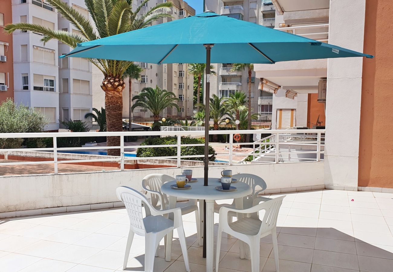 Apartamento en Gandia - LAS ALONDRAS B - 1º - 1ª