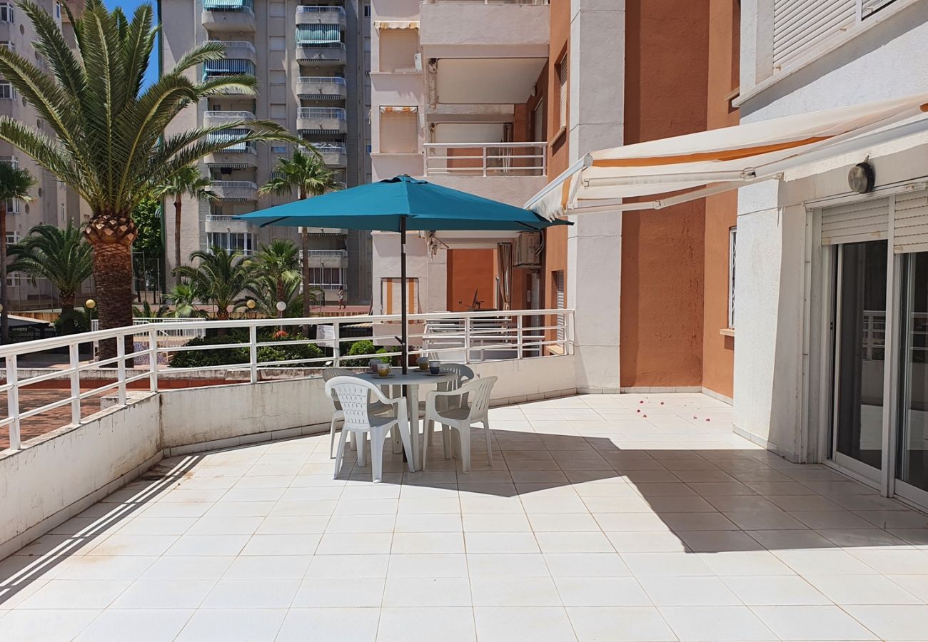 Apartamento en Gandia - LAS ALONDRAS B - 1º - 1ª