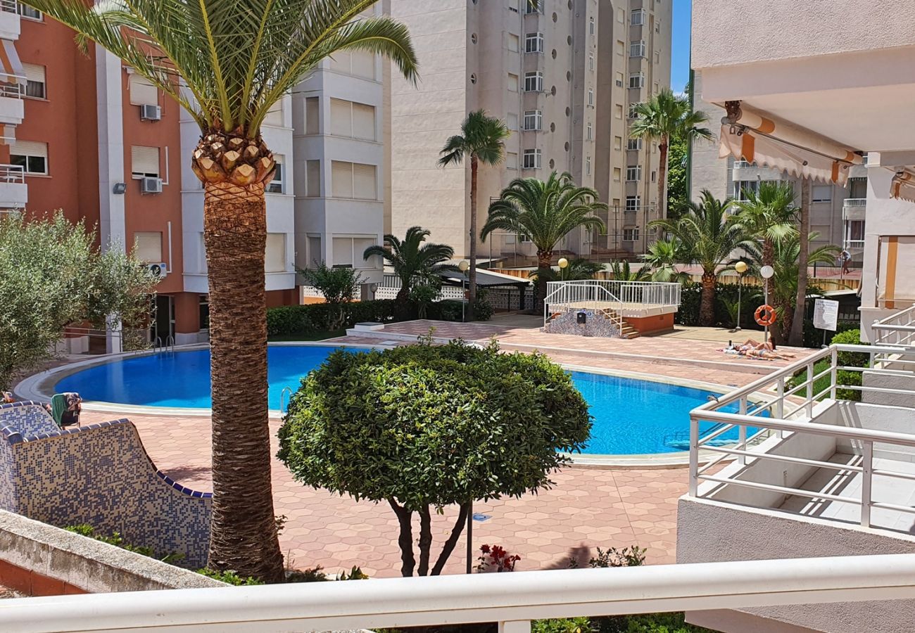 Apartamento en Gandia - LAS ALONDRAS B - 1º - 1ª