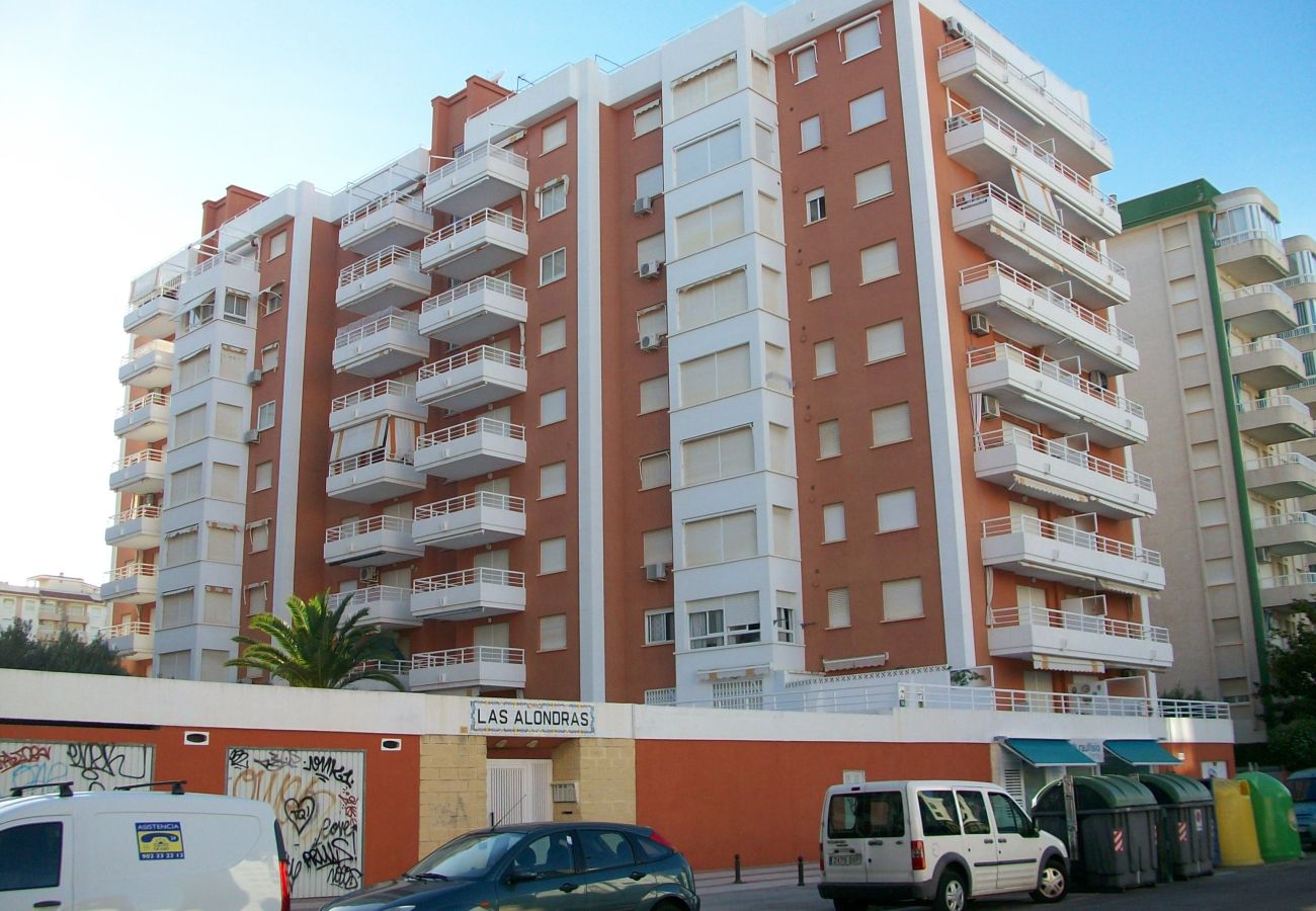 Apartamento en Gandia - LAS ALONDRAS B - 1º - 1ª