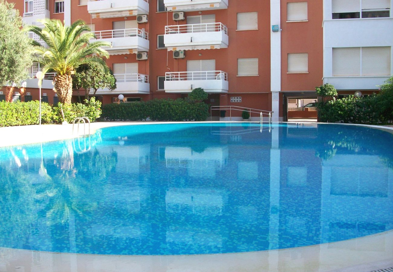 Apartamento en Gandia - LAS ALONDRAS B - 1º - 1ª