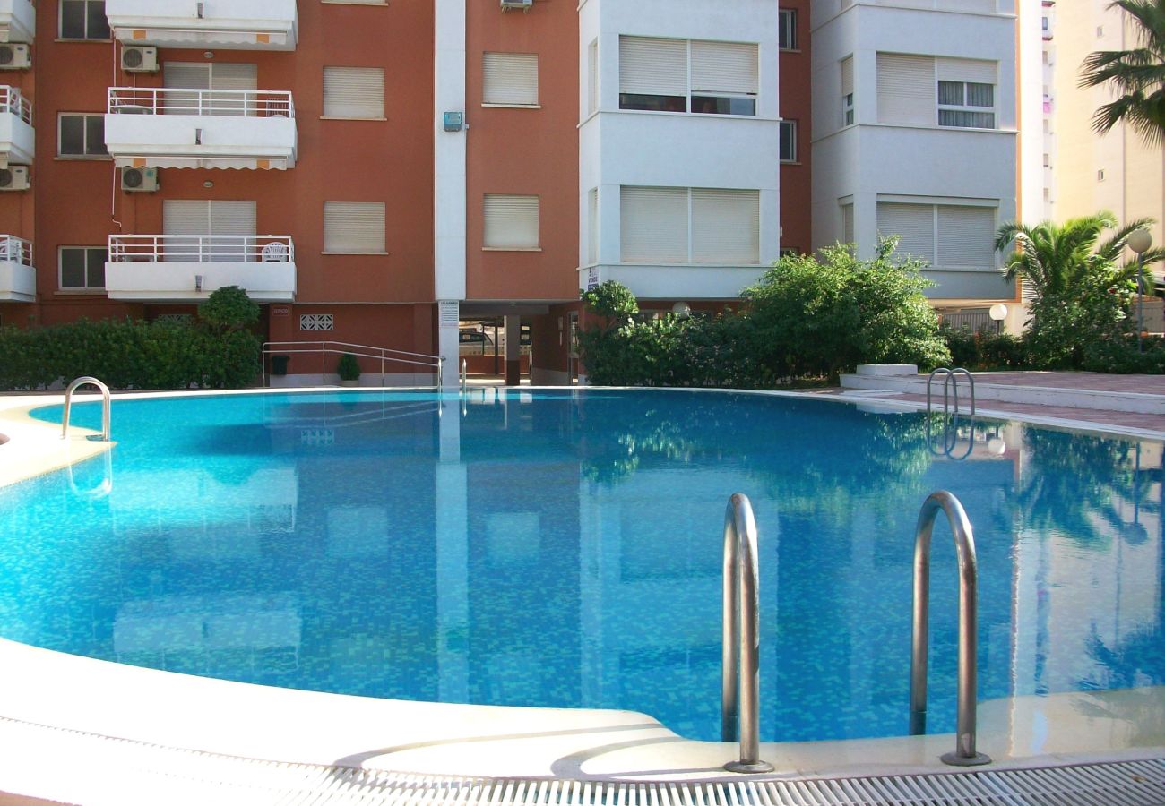 Apartamento en Gandia - LAS ALONDRAS B - 1º - 1ª