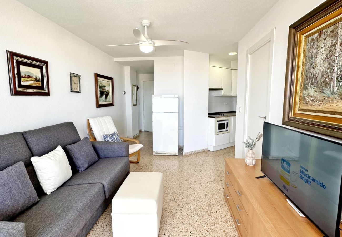 Apartamento en Gandia - INFANTE E3 - 1º Apartamento en Gandia - INFANTE E3 - 1º