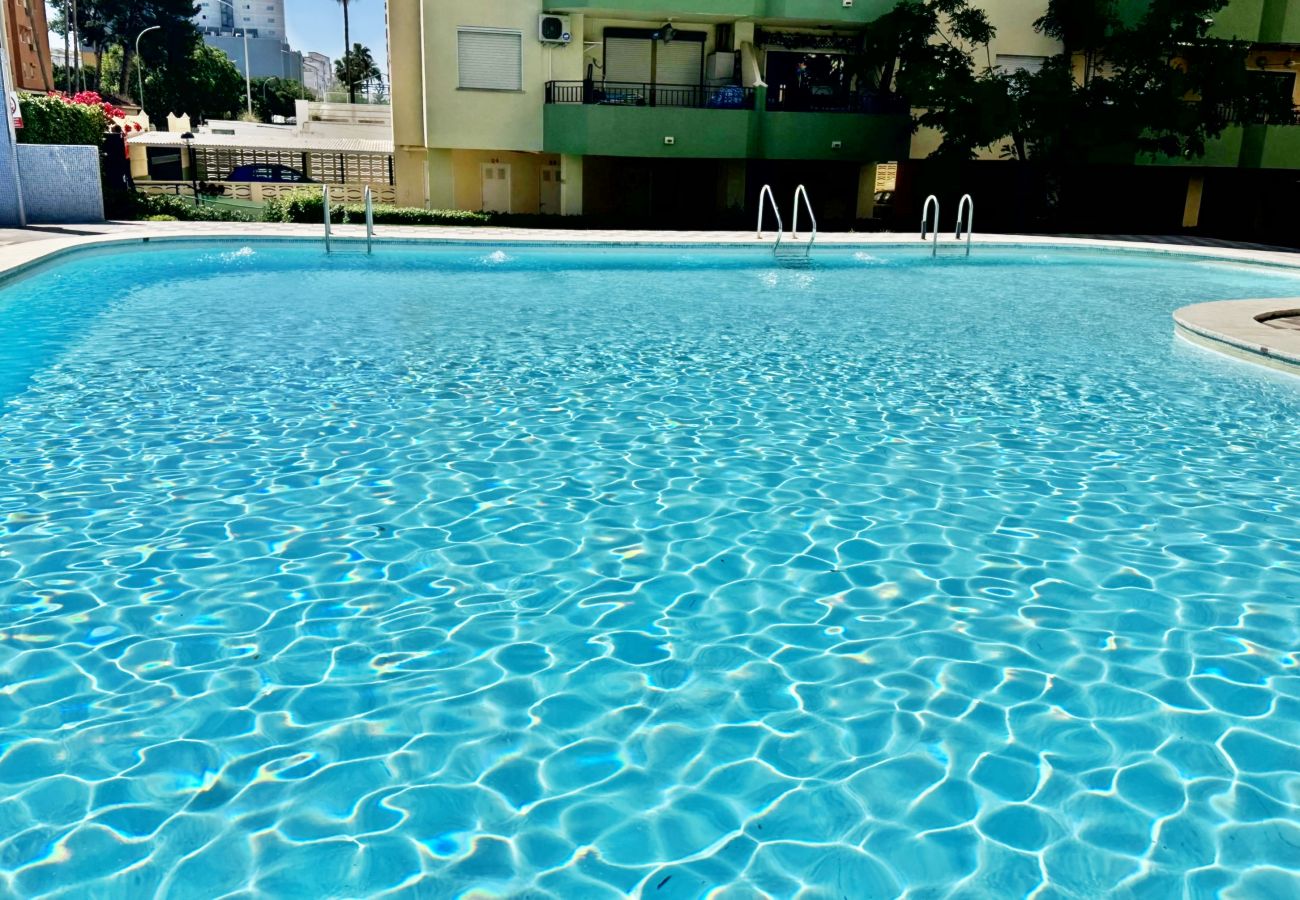 Apartamento en Gandia - GARDENIAS II - Bl 2 - 1º - D