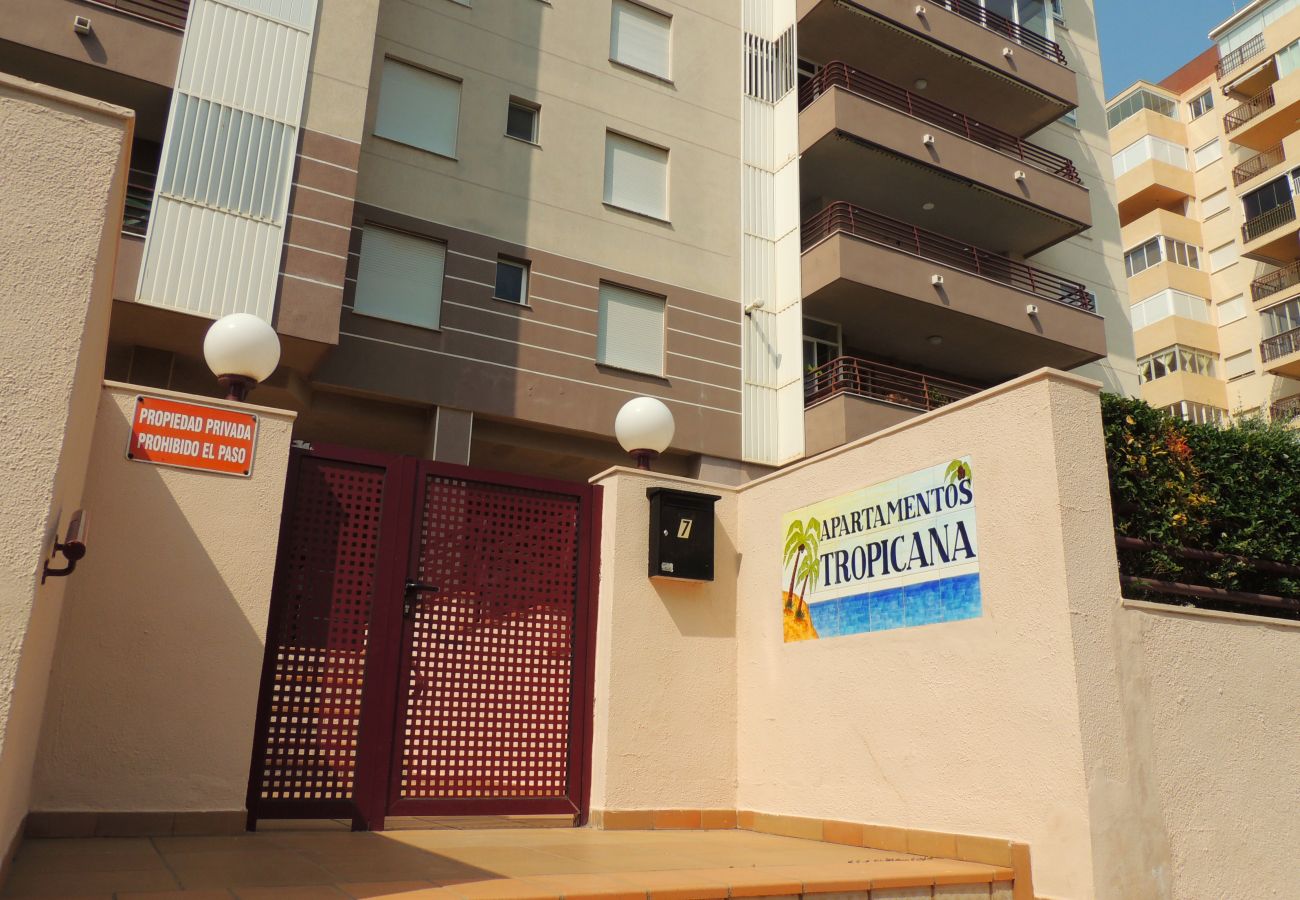 Apartamento en Benicàssim - TROPICANA I 6º-B