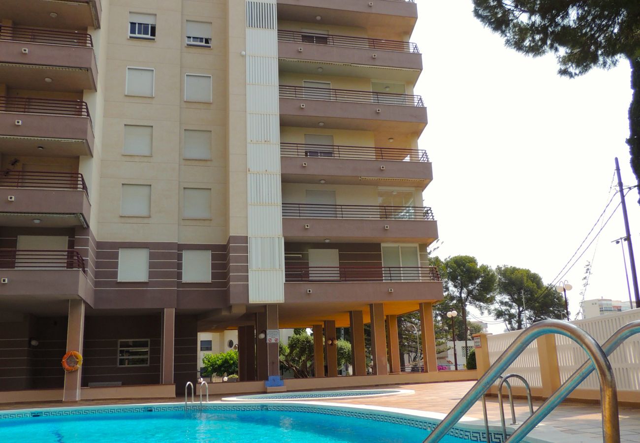 Apartamento en Benicàssim - TROPICANA I 6º-B