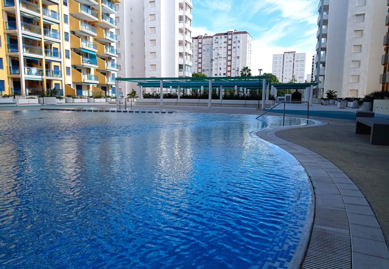 Apartamento en Playa de Gandía - 1.Devesa Park esc.X 8º pta.15