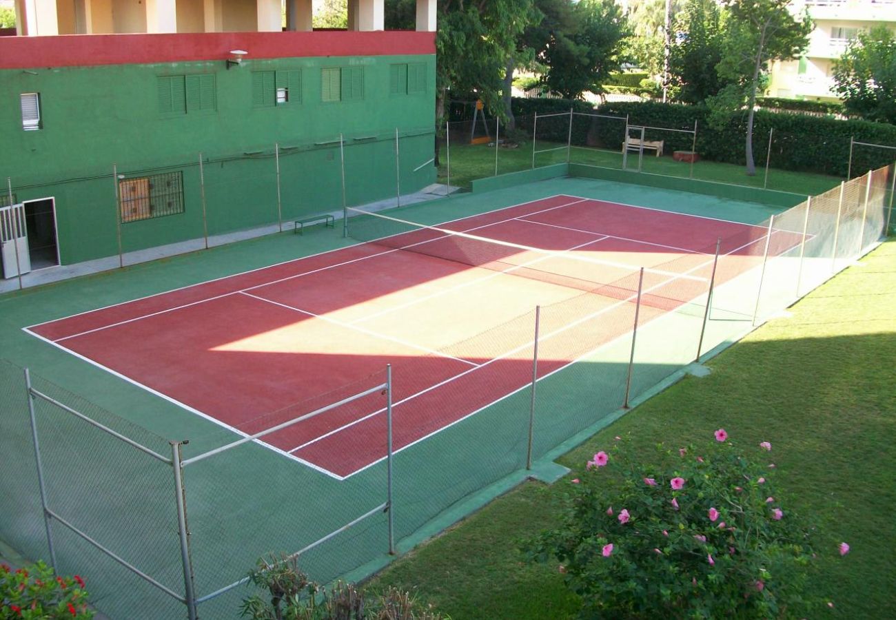 Apartamento en Gandia - XIPHO 5º - C